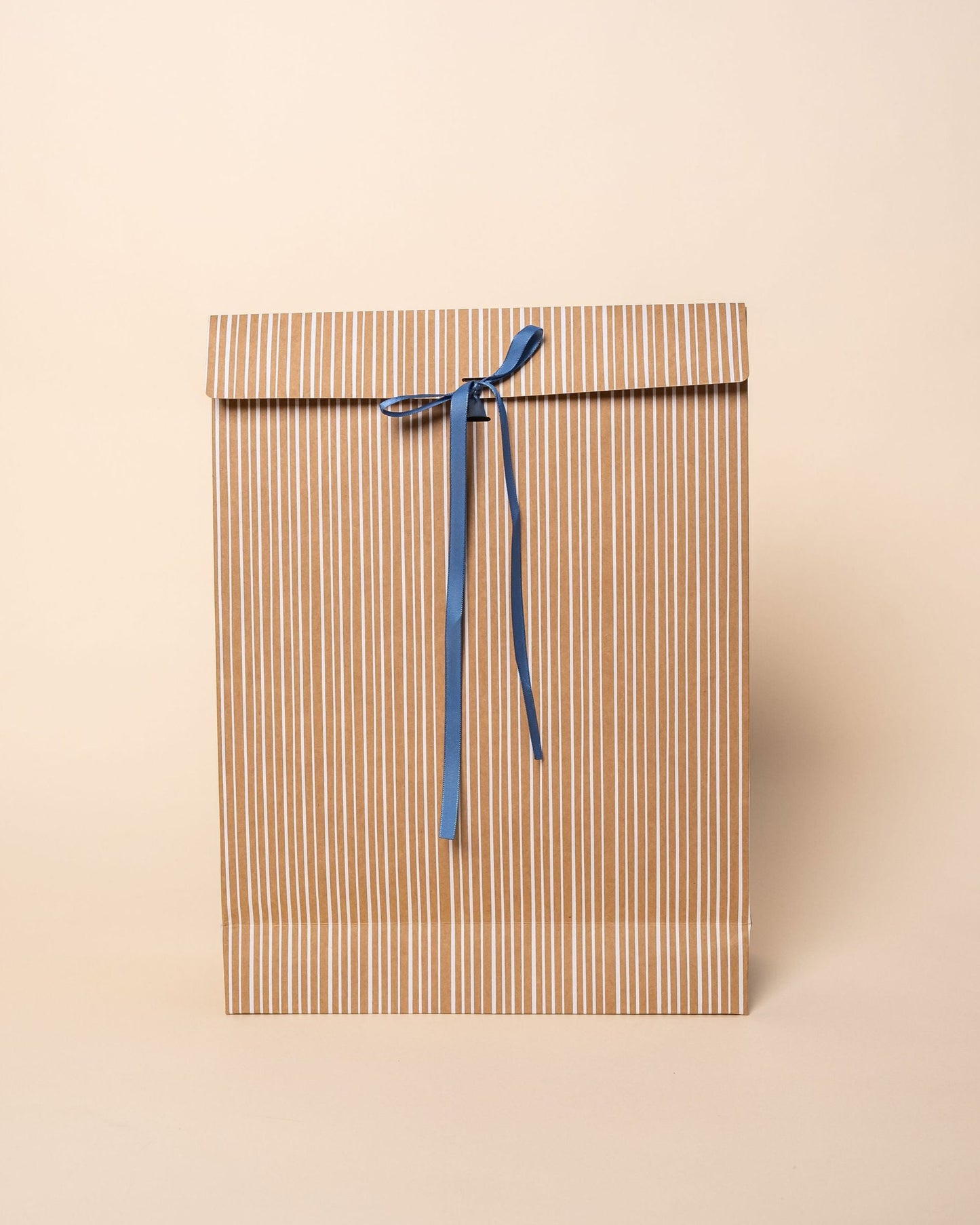 'Kraft Stripe' Gift Bags with Ribbon -- Set of 6